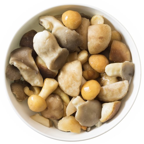 Woodland Mushroom Mix Alternate Image