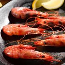 Whole Argentinian Wild Red Prawns