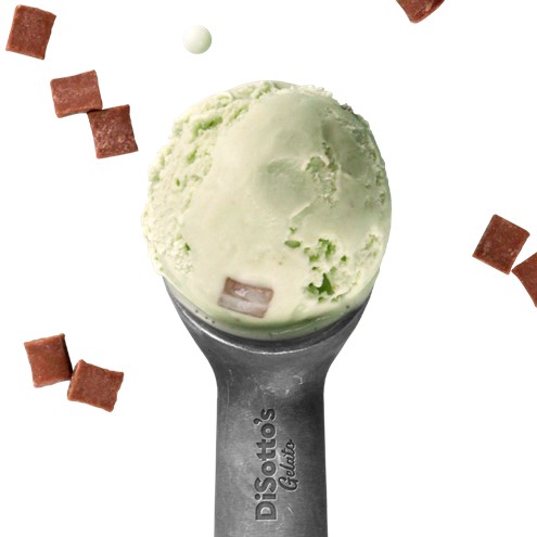 Mint Choc Chip Gelato Main Image