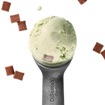 Mint Choc Chip Gelato Main Image