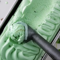 Mint Choc Chip Gelato Alternate Image