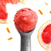 Blood Orange Sorbet Main Image