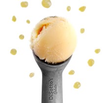 Passion Fruit Sorbet