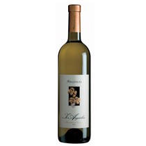 Argiolas Is Vermentino